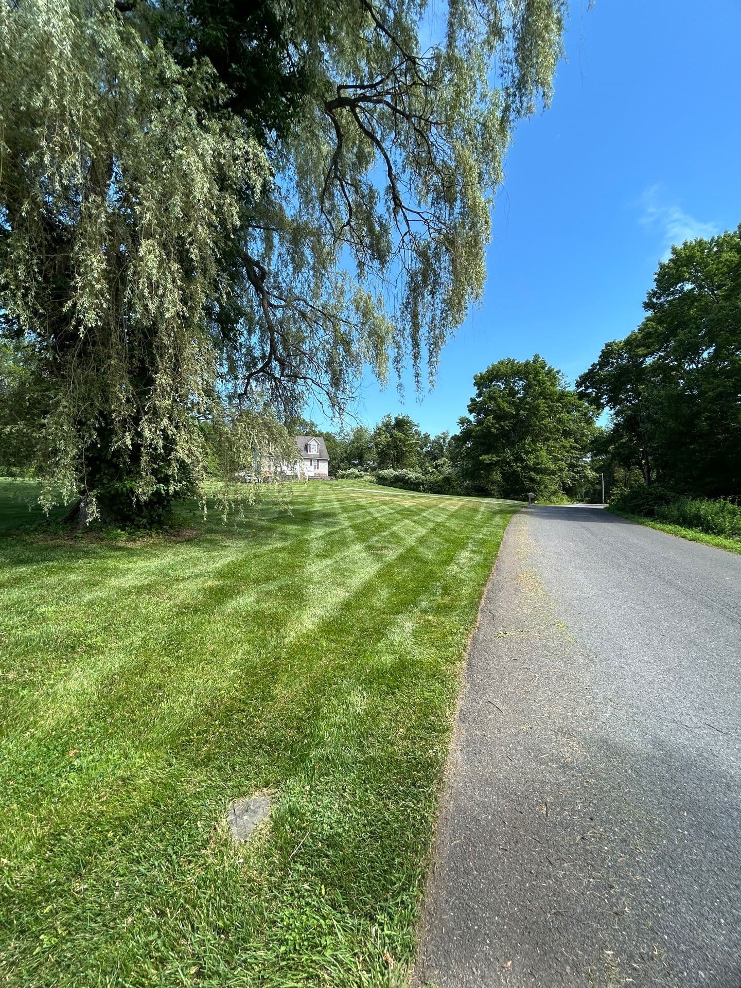 Impeccably Striped Lawn Designs by Our Team