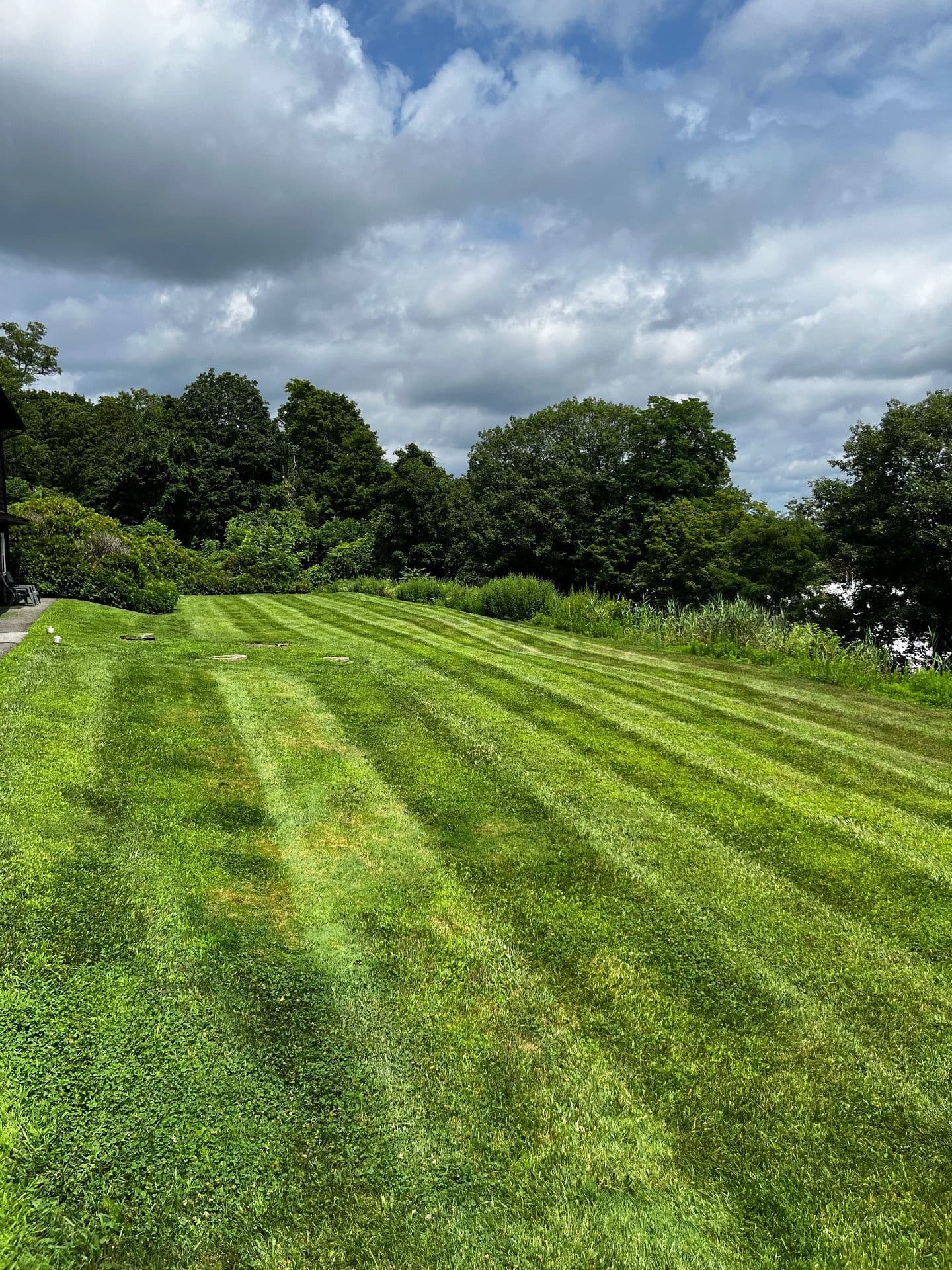 Impeccably Striped Lawn Designs by Our Team