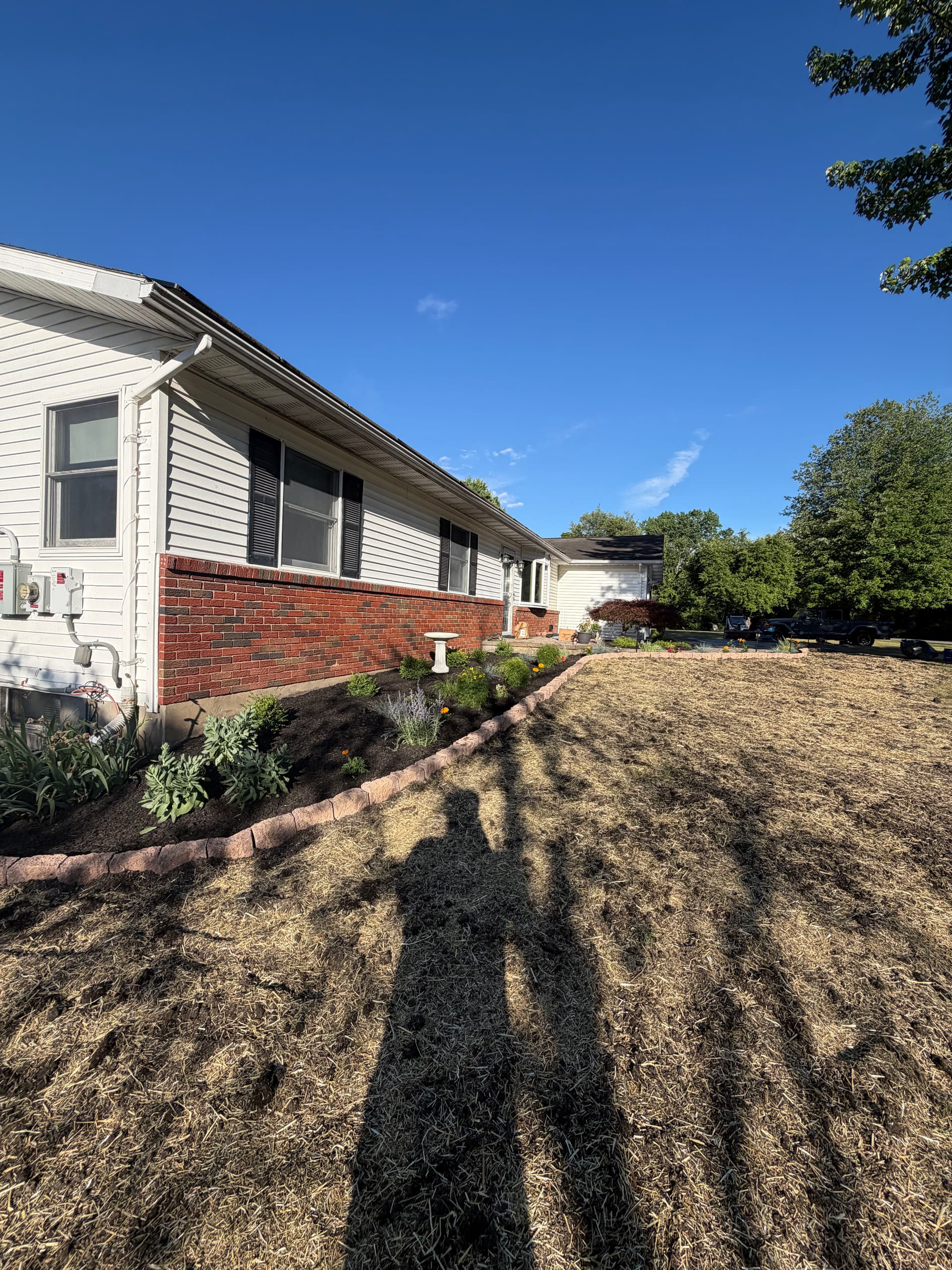 Front Yard Bed Redesign With Fresh Plantings and Clean Curbing image