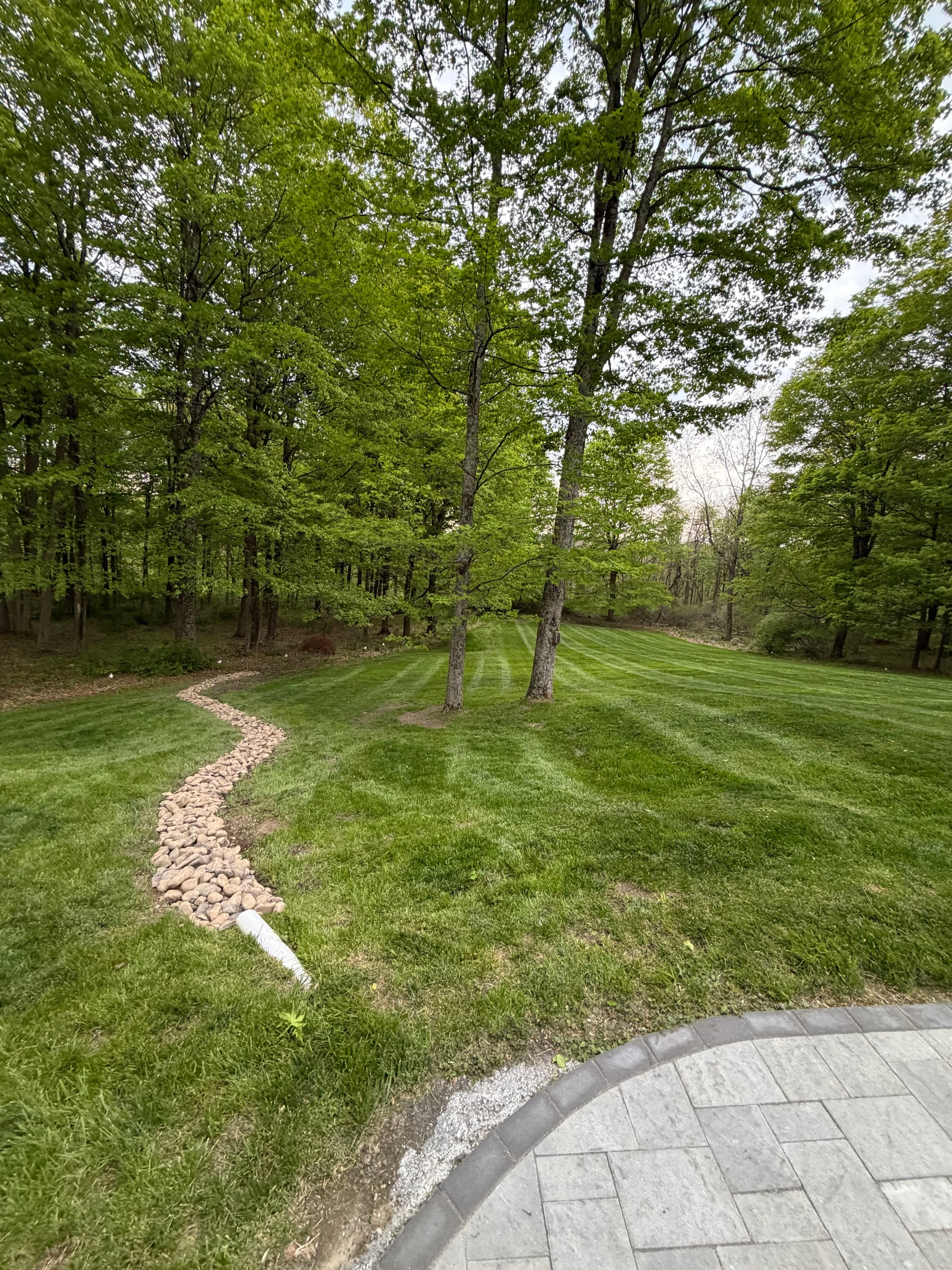 Spring Lawn Care is in Full Swing and Summer is Booking Fast image