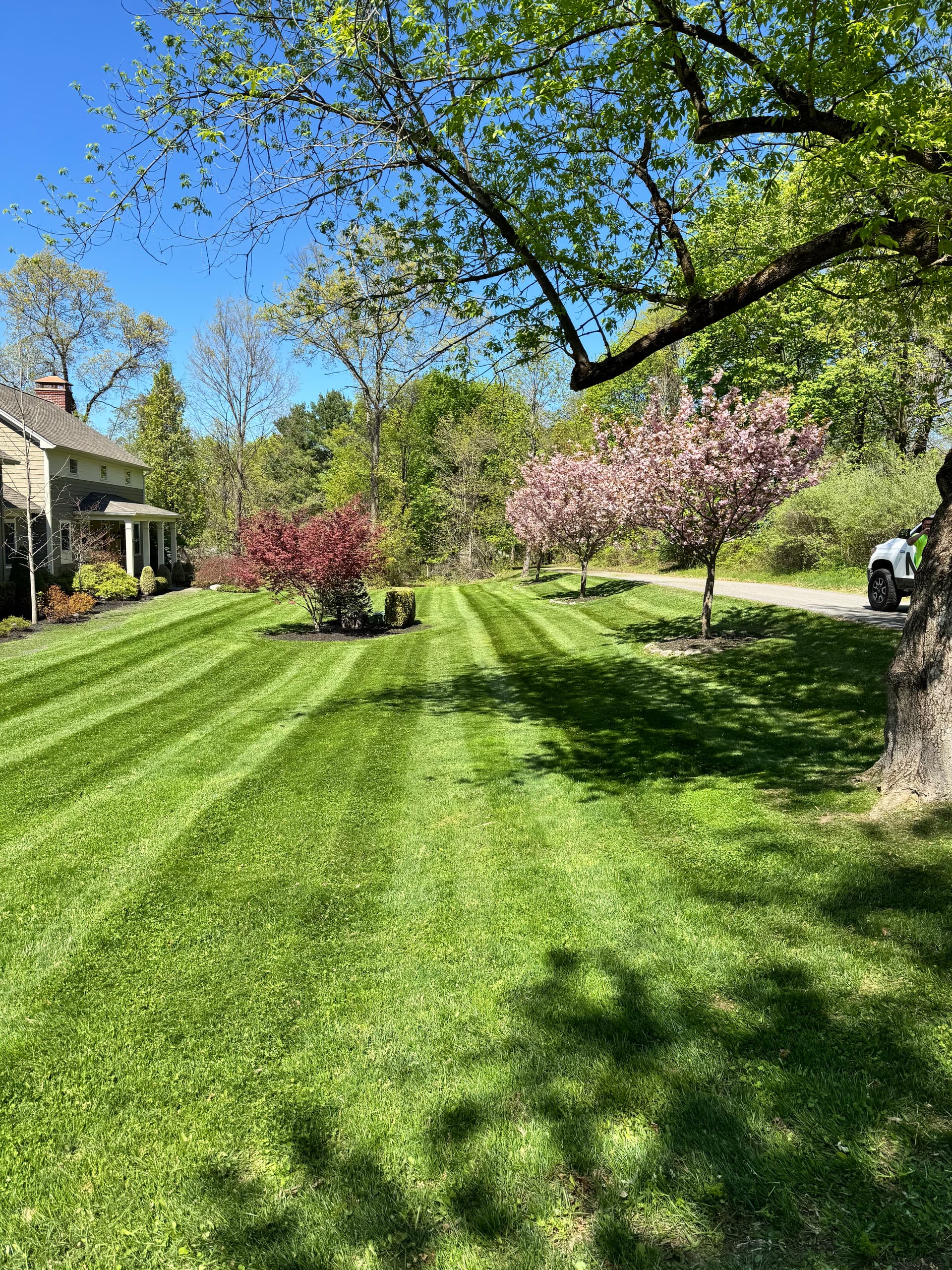 Gallery photos for Spring Mowing Season is Here and the Stripes Show It: Image #2