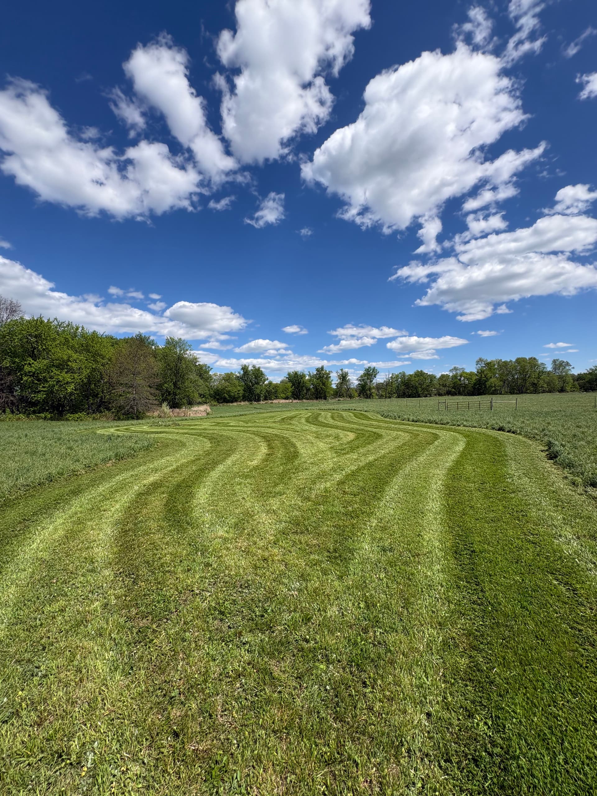 Gallery photos for Spring Lawn Care is in Full Swing and Summer is Booking Fast: Image #4