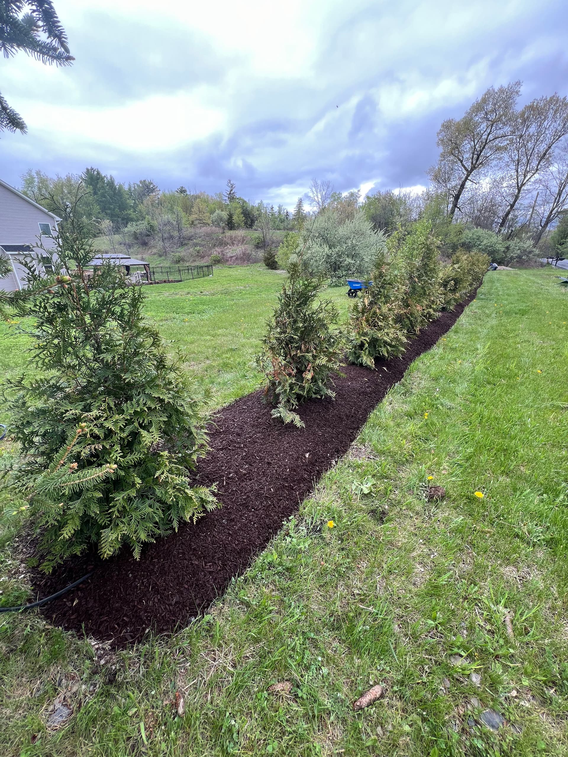 Gallery photos for New Build Landscaping Done Right - Plants, Mulch and Pavers: Image #4
