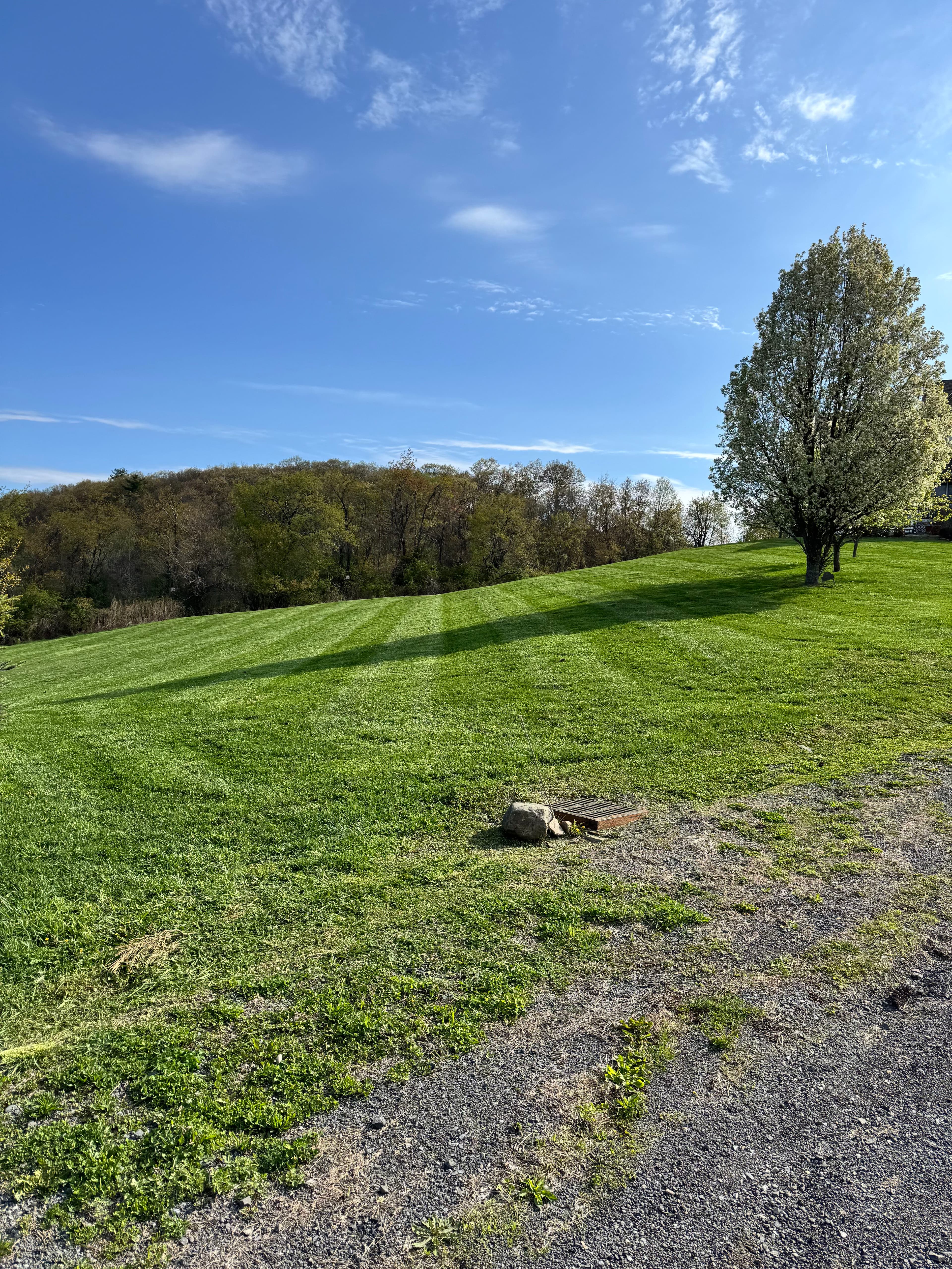 Project Spring Mowing Season is Here and the Stripes Show It image