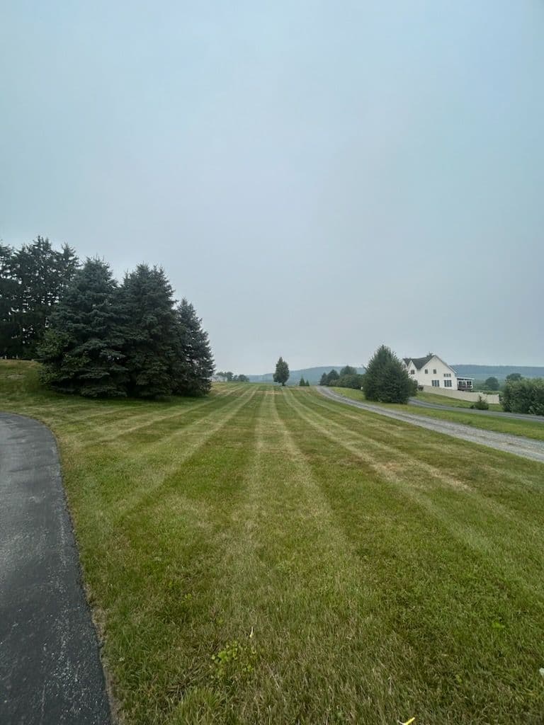 Transform Your Lawn into a Picturesque Landscape image