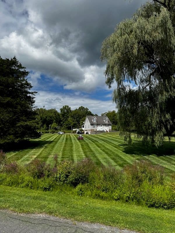 Gallery photos for Transform Your Lawn into a Picturesque Landscape: Image #2
