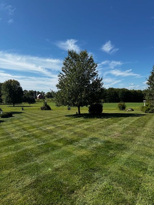 Project Revitalizing Walkill with Custom Landscaping image