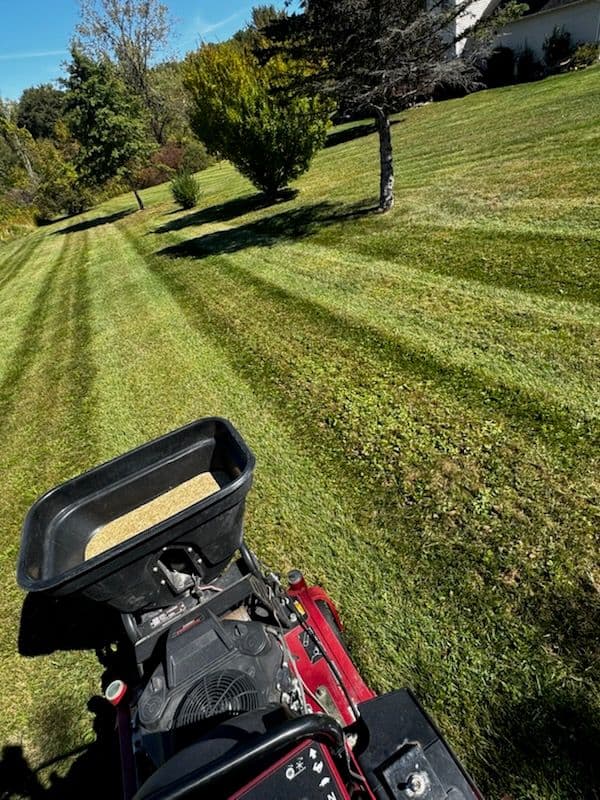 Transform Your Lawn with Aeration and Overseeding image