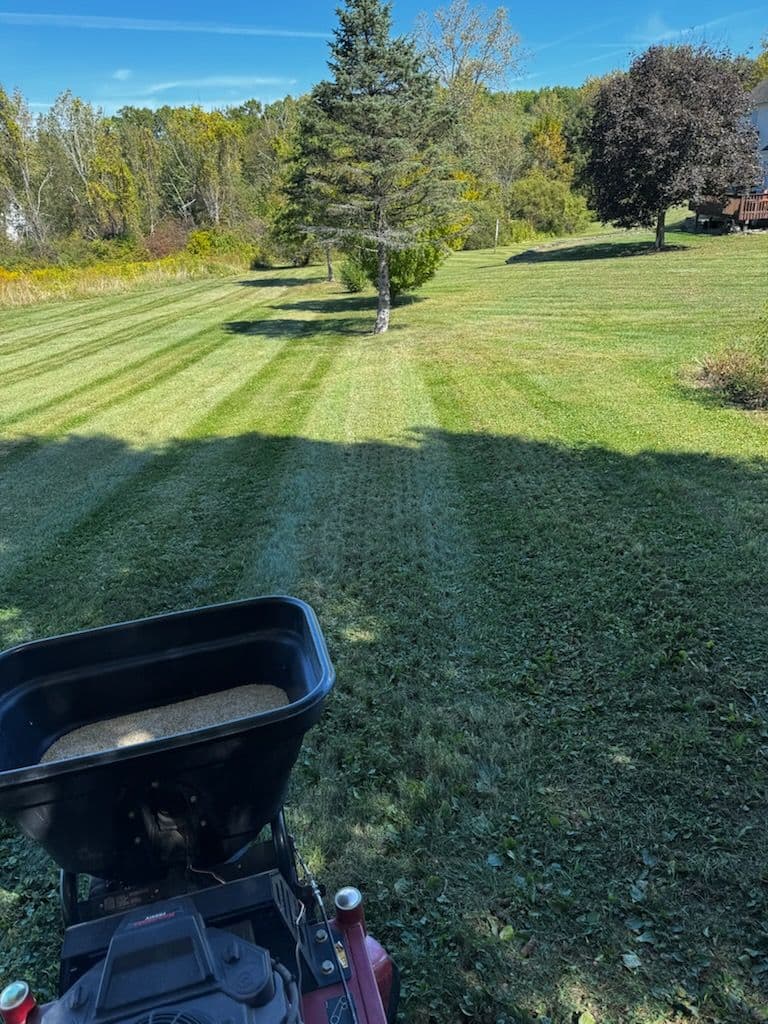 Gallery photos for Transform Your Lawn with Aeration and Overseeding: Image #1