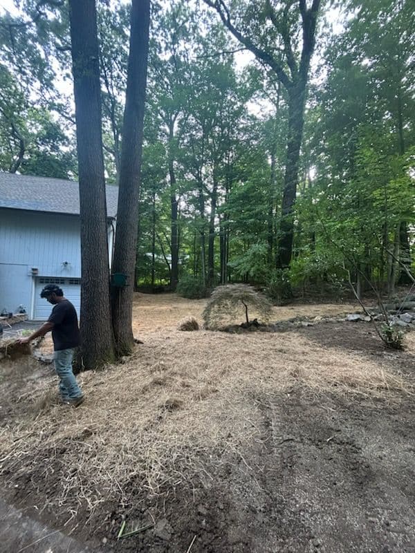 Gallery photos for Backyard Revival with Natural Elegance: Image #1