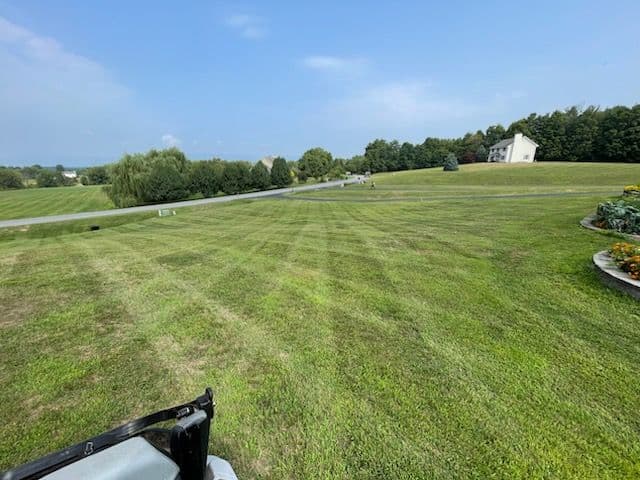 Gallery photos for Expert Lawn Transformation for a Vibrant Landscape: Image #3
