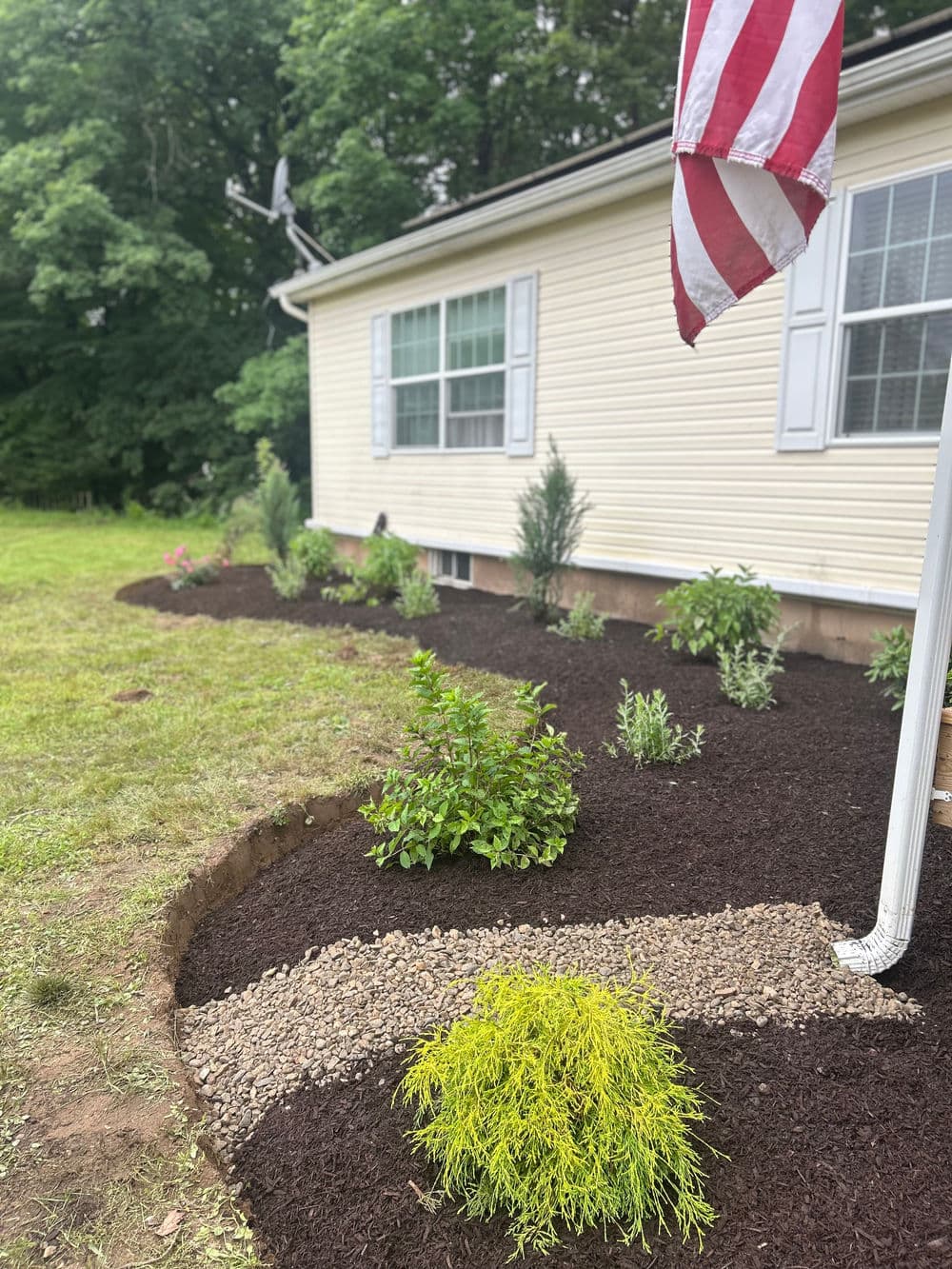 Landscaped garden bed with mulch, shrubs, and a flag in front of a house.