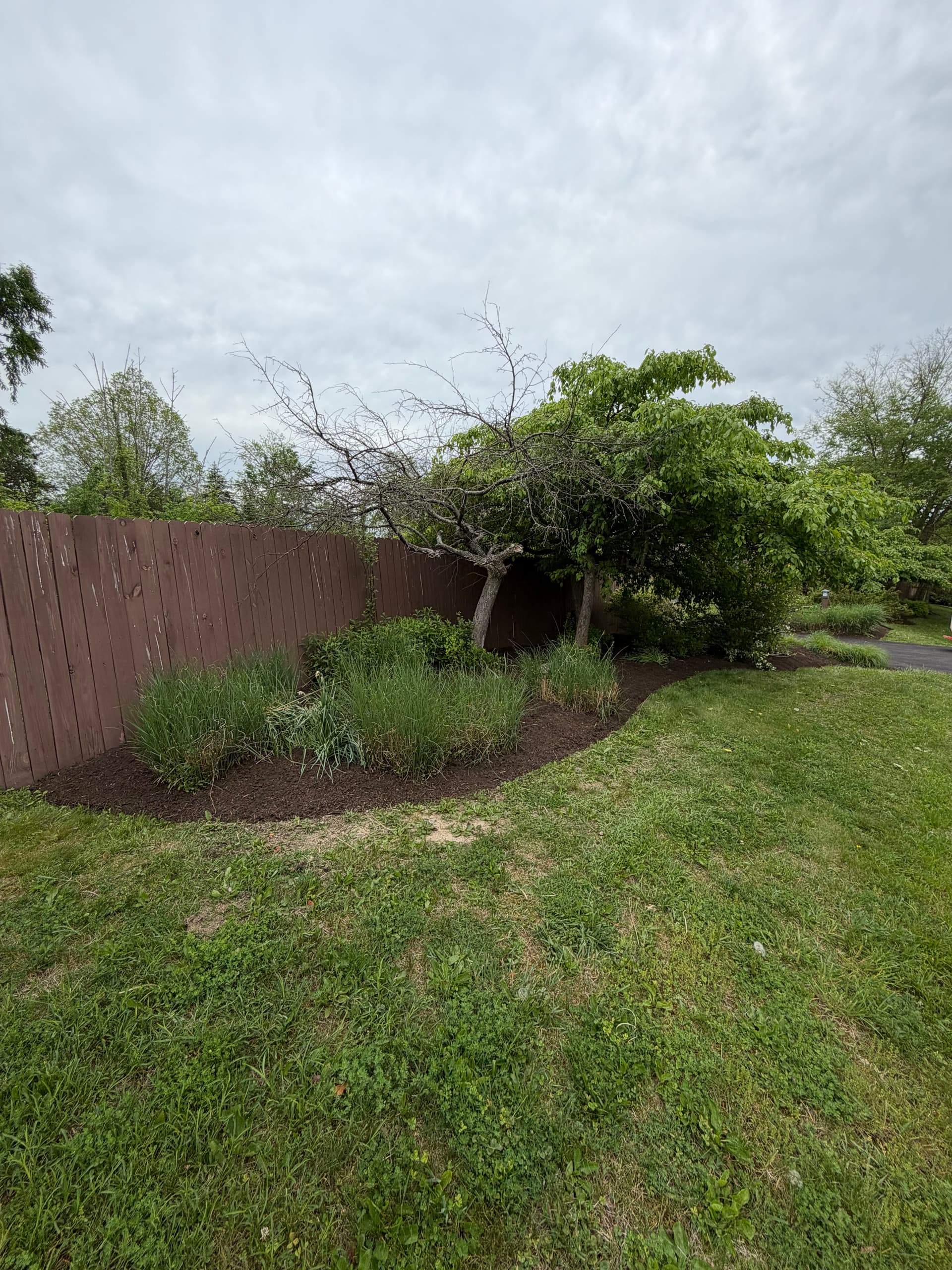 Fresh Plantings and Mulch That Make a Property Feel Complete image