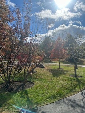 Gallery photos for Fall Mowing in the Hudson Valley: Image #1