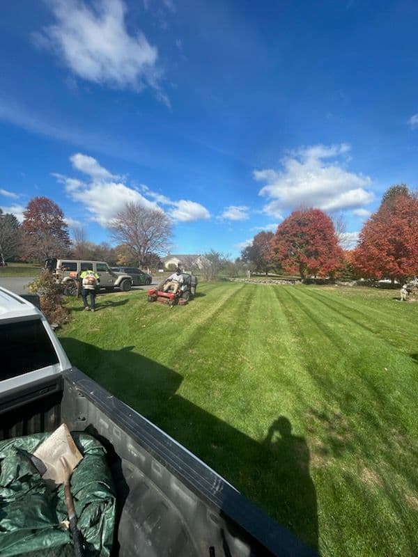 Gallery photos for Fall Leaf Clean-Up Kicks Off: Image #1