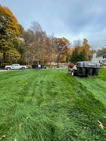 Gallery photos for Fall Leaf Clean-Up Kicks Off: Image #2