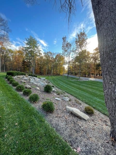 Gallery photos for Fall Leaf Clean-Up Kicks Off: Image #3