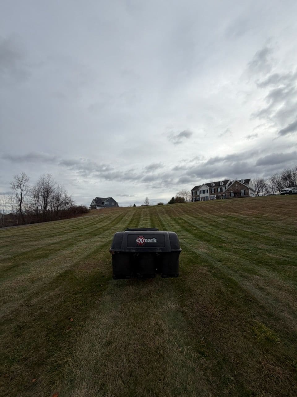 Gallery photos for Final Lawn Clean-Up Before Winter Weather Hits: Image #1