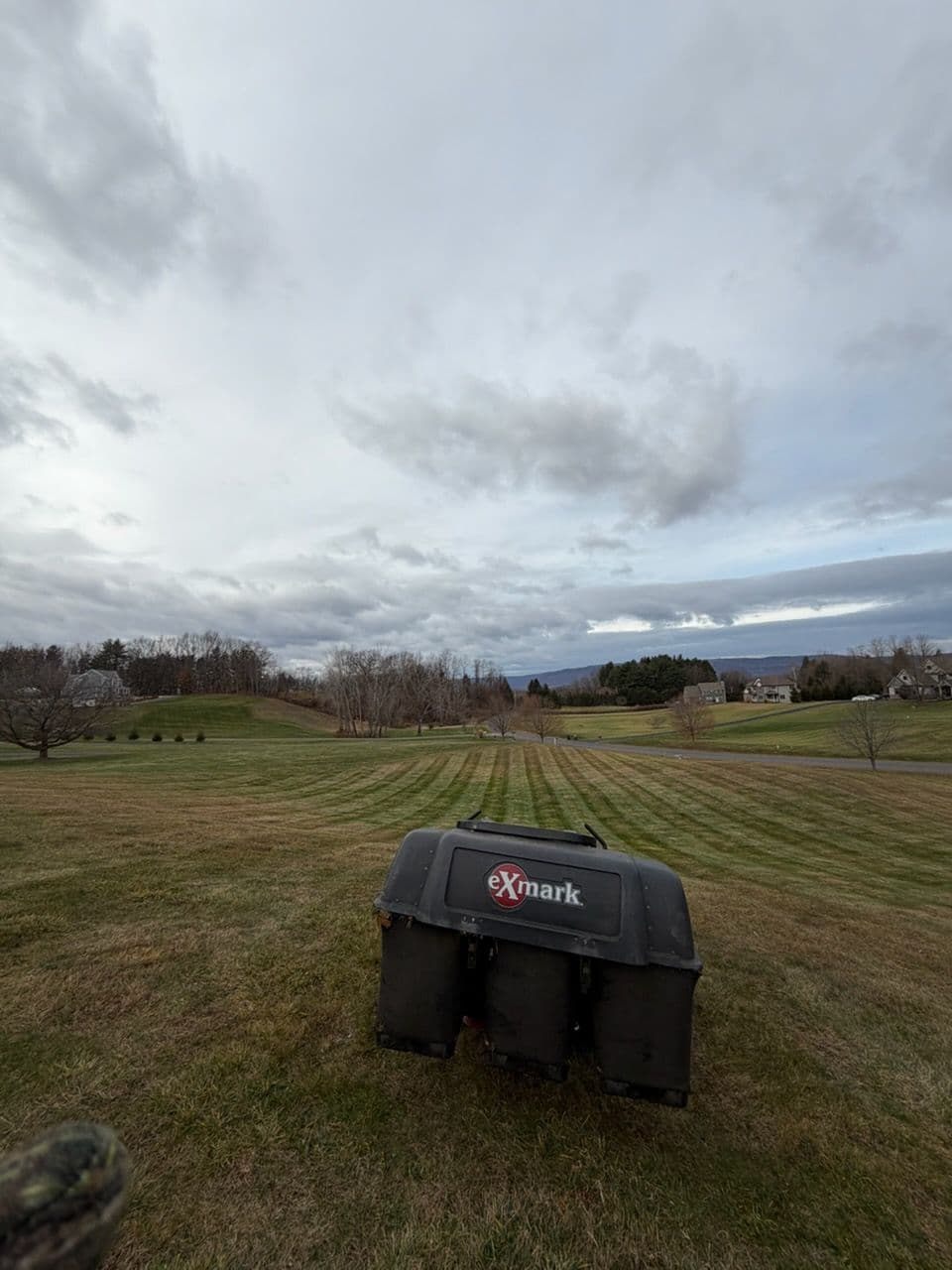 Gallery photos for Final Lawn Clean-Up Before Winter Weather Hits: Image #2